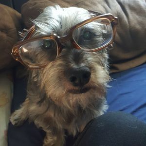 Meet your Posher, Edwin